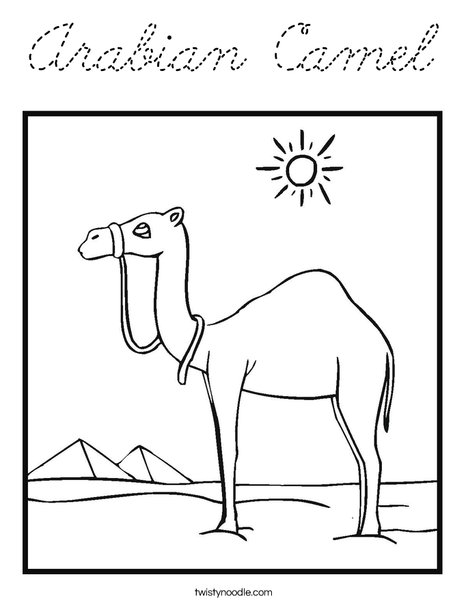 Download Arabian Camel Coloring Page - Cursive - Twisty Noodle