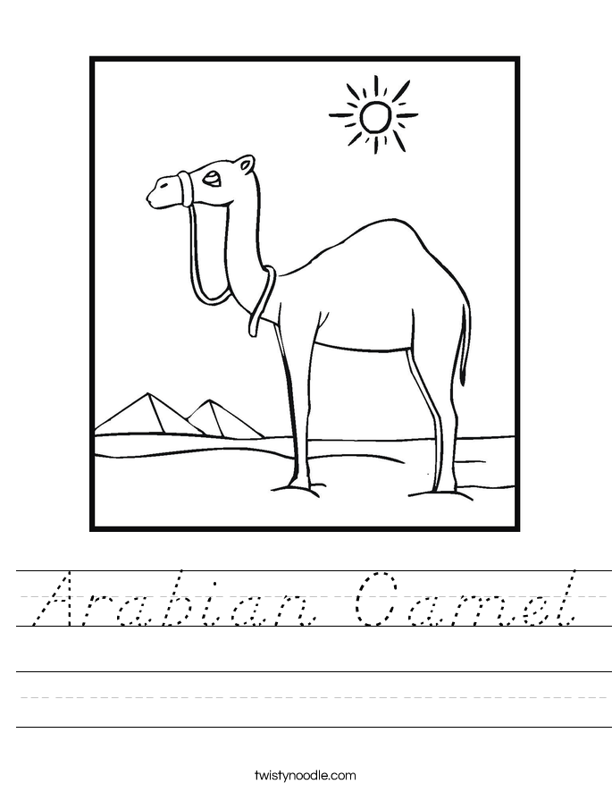 Arabian Camel Worksheet