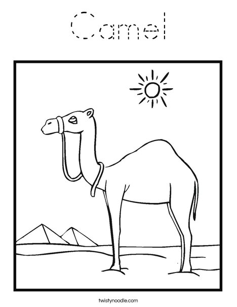 Camel Standing in the Desert Coloring Page