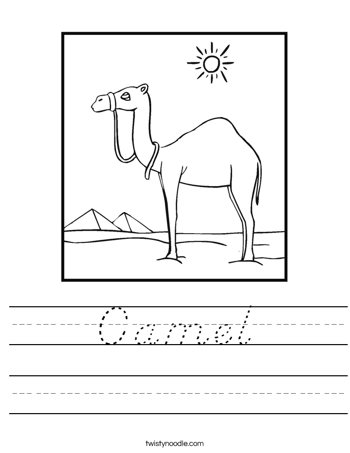 Camel Worksheet