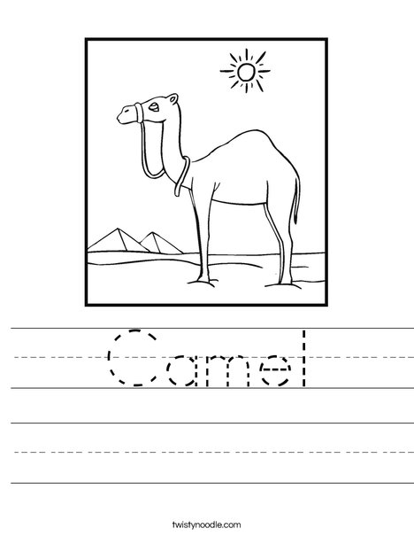 Camel Standing in the Desert Worksheet