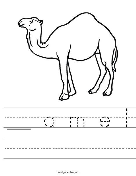 Camel Standing Worksheet