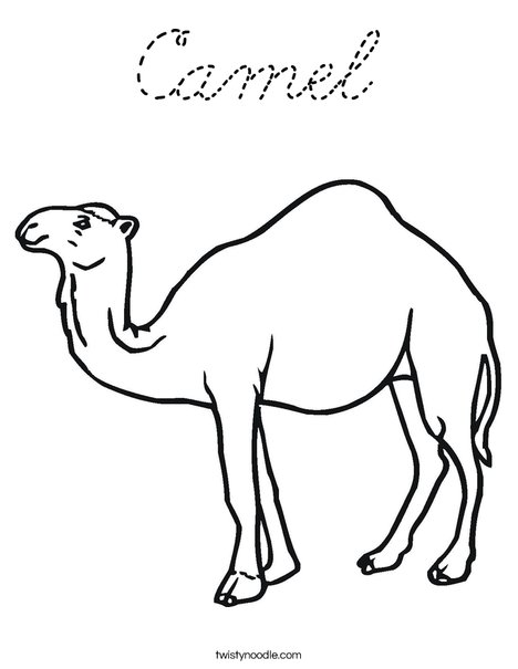 Camel Standing Coloring Page