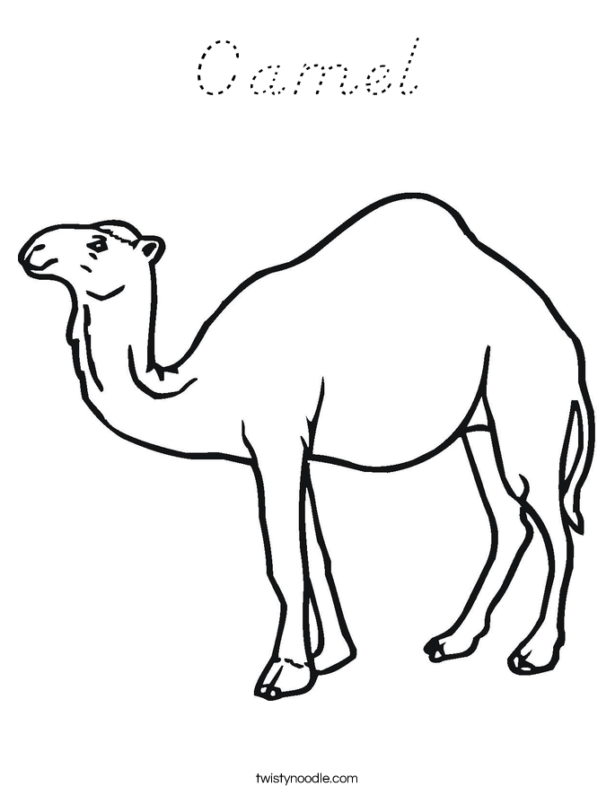 Camel Coloring Page