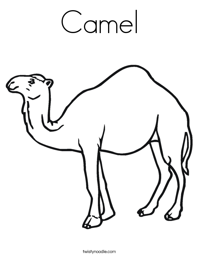 Camel Coloring Page