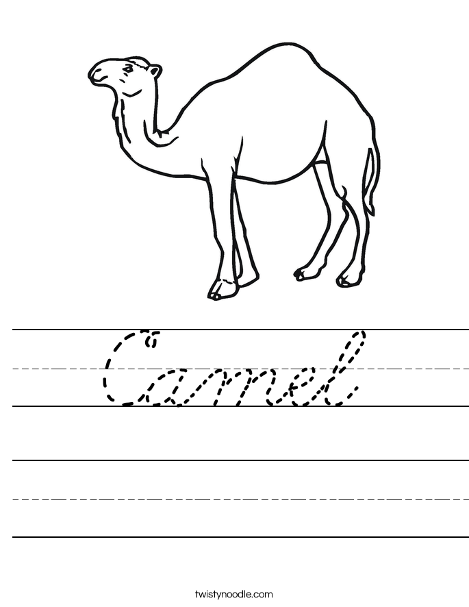 Camel Worksheet