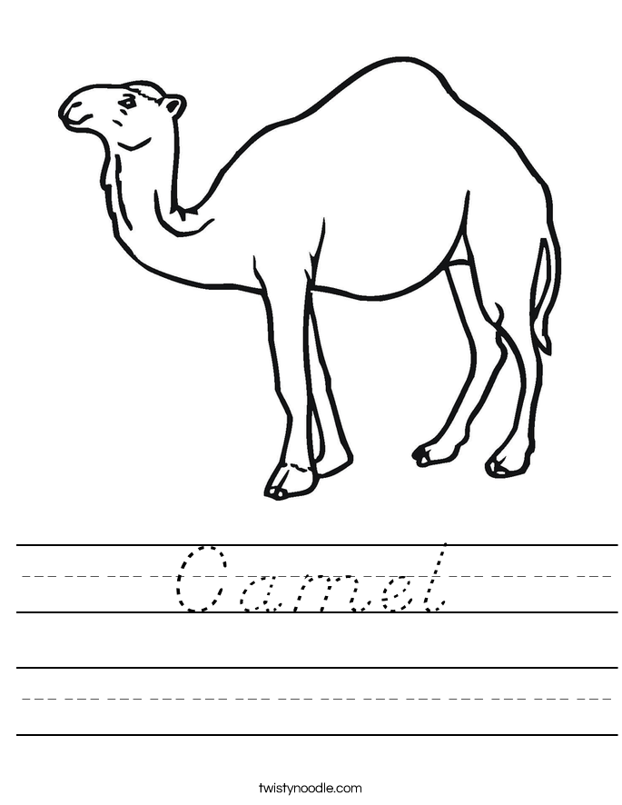 Camel Worksheet