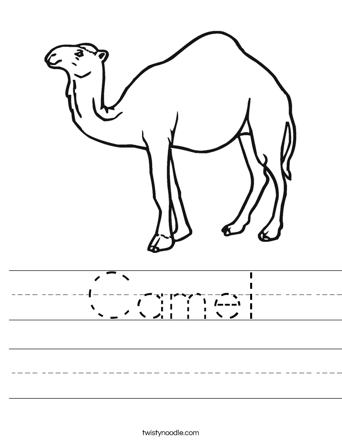 Camel Worksheet
