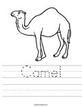 Camel Worksheet