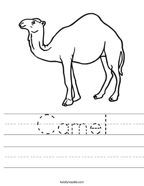 Camel Standing Worksheet