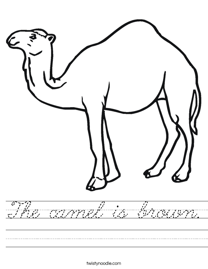 The camel is brown. Worksheet