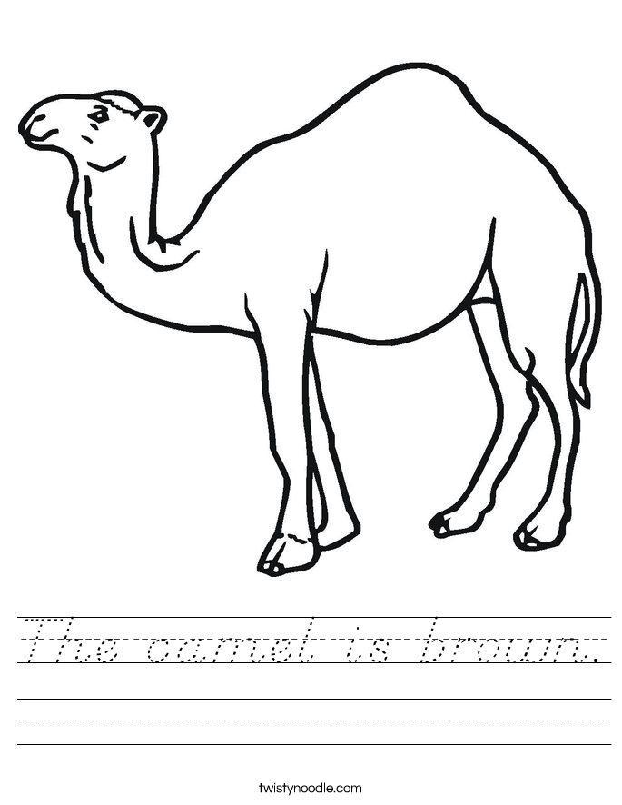 The camel is brown. Worksheet