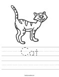 Cat Worksheet