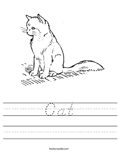 Cute Cat Worksheet