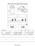 Cat and Hat Worksheet