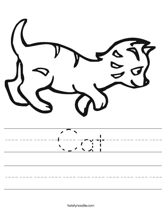 Cat Worksheet