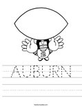 AUBURN Worksheet