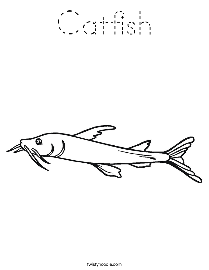 Catfish Coloring Page - Tracing - Twisty Noodle