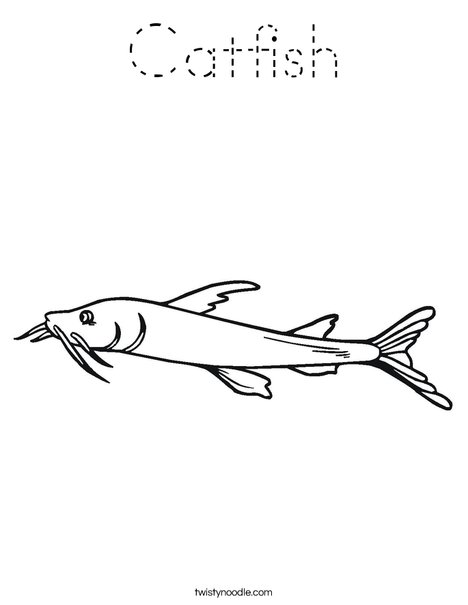 Catfish Coloring Page - Tracing - Twisty Noodle