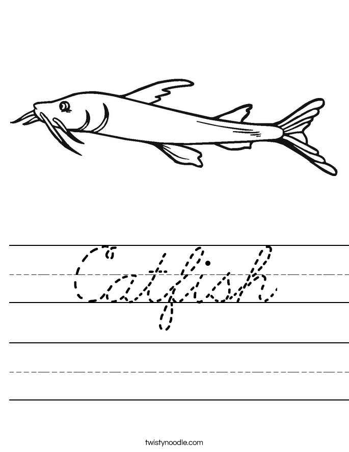 Catfish Worksheet