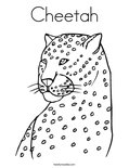 CheetahColoring Page