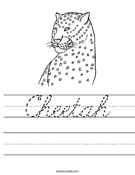 Cheetah Worksheet
