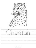 Cheetah Worksheet