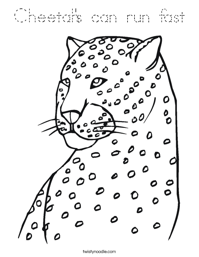 Cheetah's can run fast Coloring Page