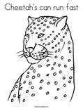 Cheetah's can run fast Coloring Page