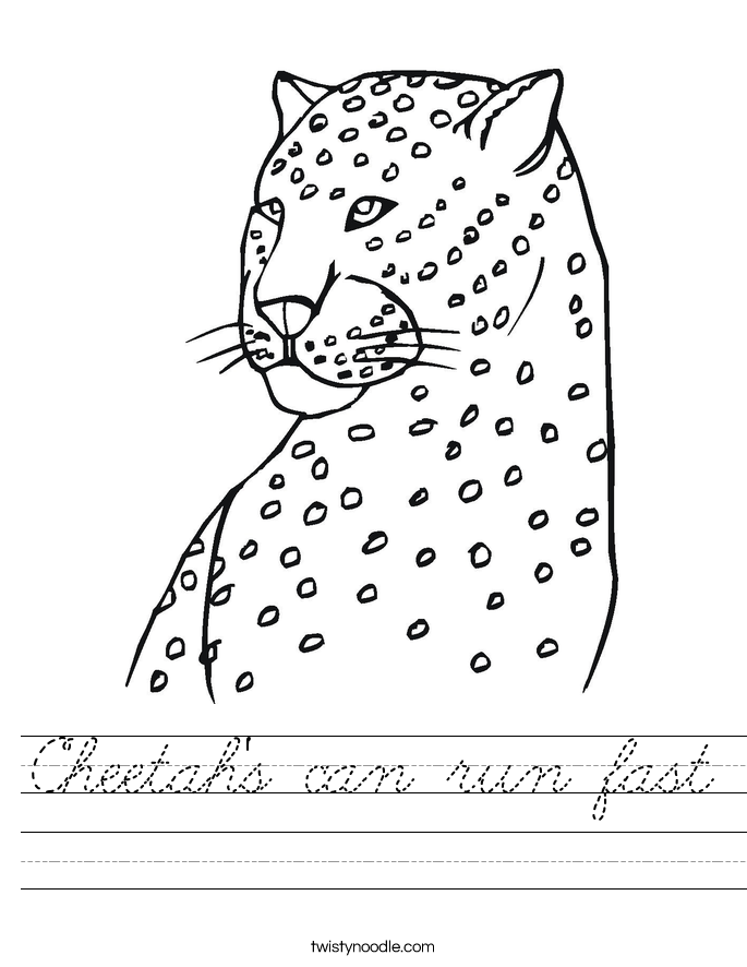 Cheetah's can run fast Worksheet