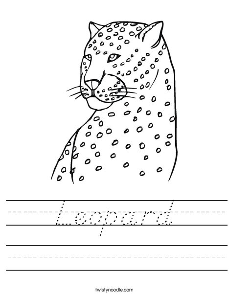 Cheetah Worksheet