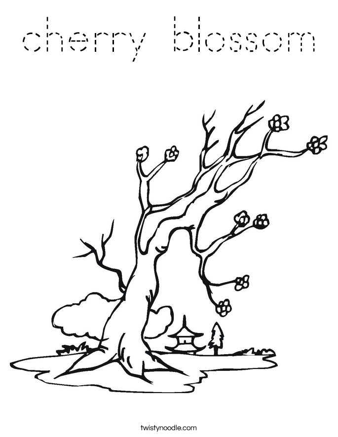 cherry blossom Coloring Page