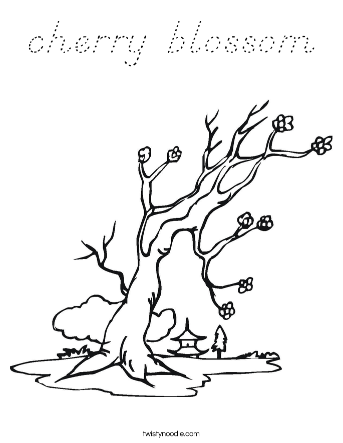 cherry blossom Coloring Page