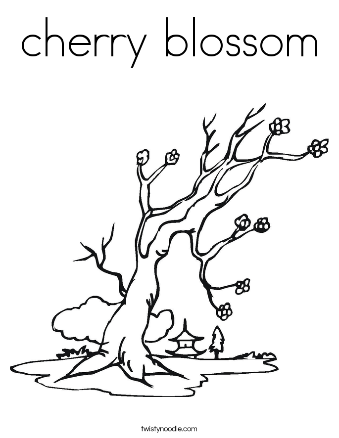 cherry blossom Coloring Page