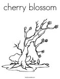 cherry blossom Coloring Page