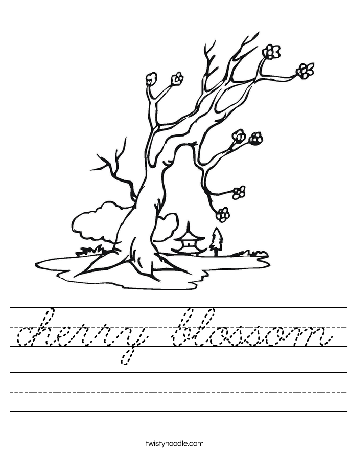 cherry blossom Worksheet