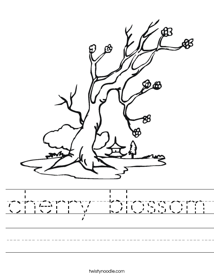 cherry blossom Worksheet