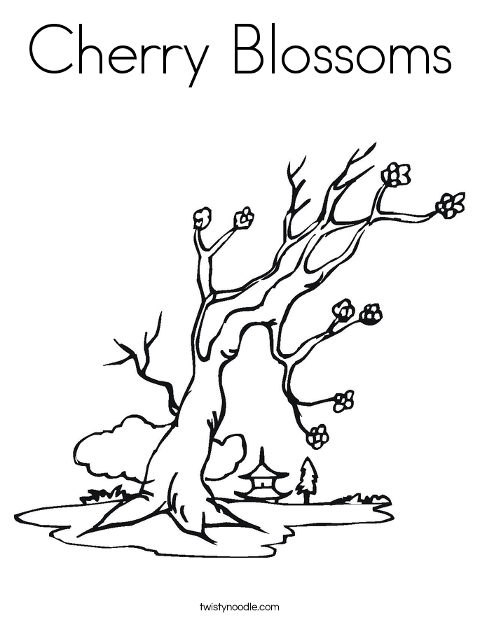 Cherry Blossoms Coloring Page