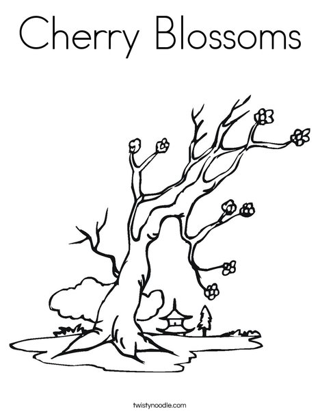 Cherry Blossom Tree Coloring Page