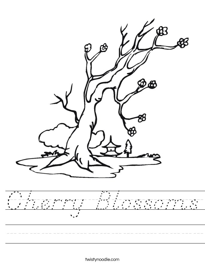 Cherry Blossoms Worksheet