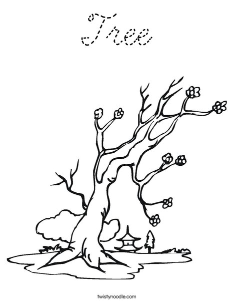 Cherry Blossom Tree Coloring Page