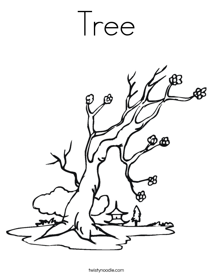 Tree Coloring Page