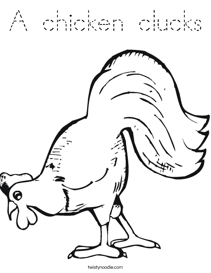 A chicken clucks Coloring Page
