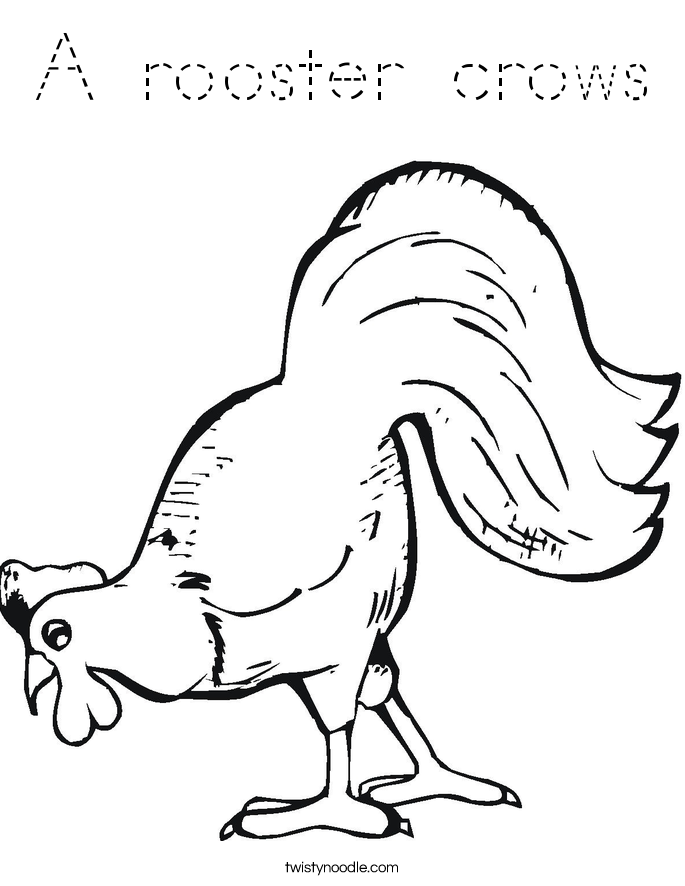 A rooster crows Coloring Page