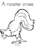 A rooster crows Coloring Page