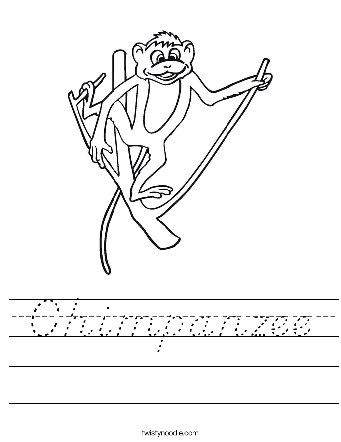 Chimpanzee Worksheet