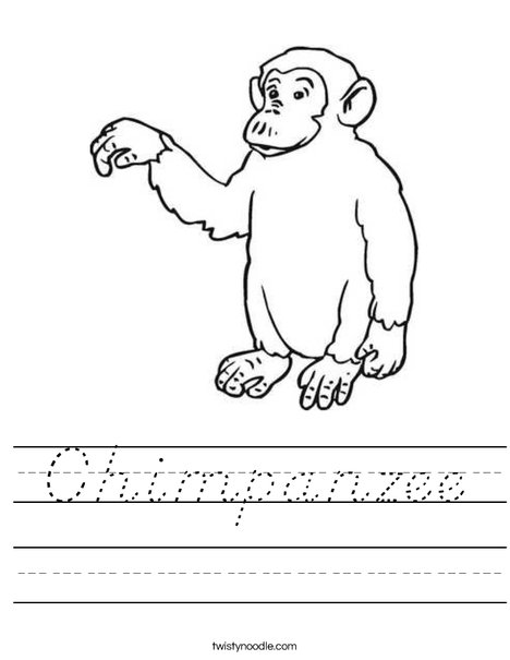 Chimpanzee Worksheet