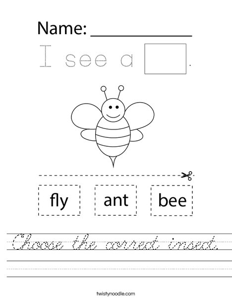 Choose the correct insect. Worksheet