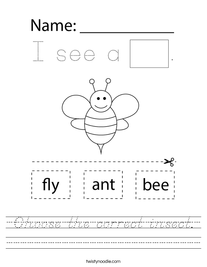 Choose the correct insect. Worksheet