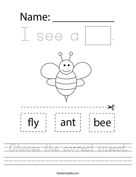 Choose the correct insect. Worksheet